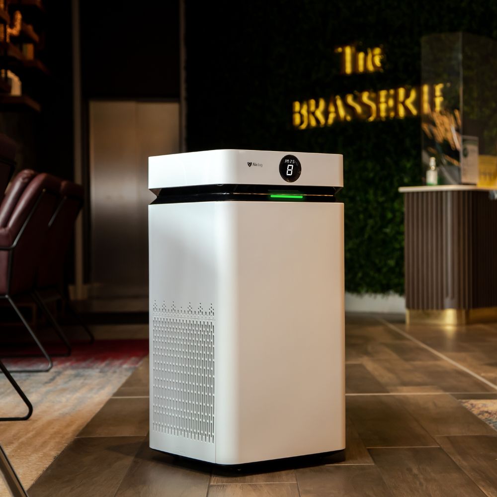 Airdog TPA X8 - Leistungsstärkstes Model - bis zu 133 m²