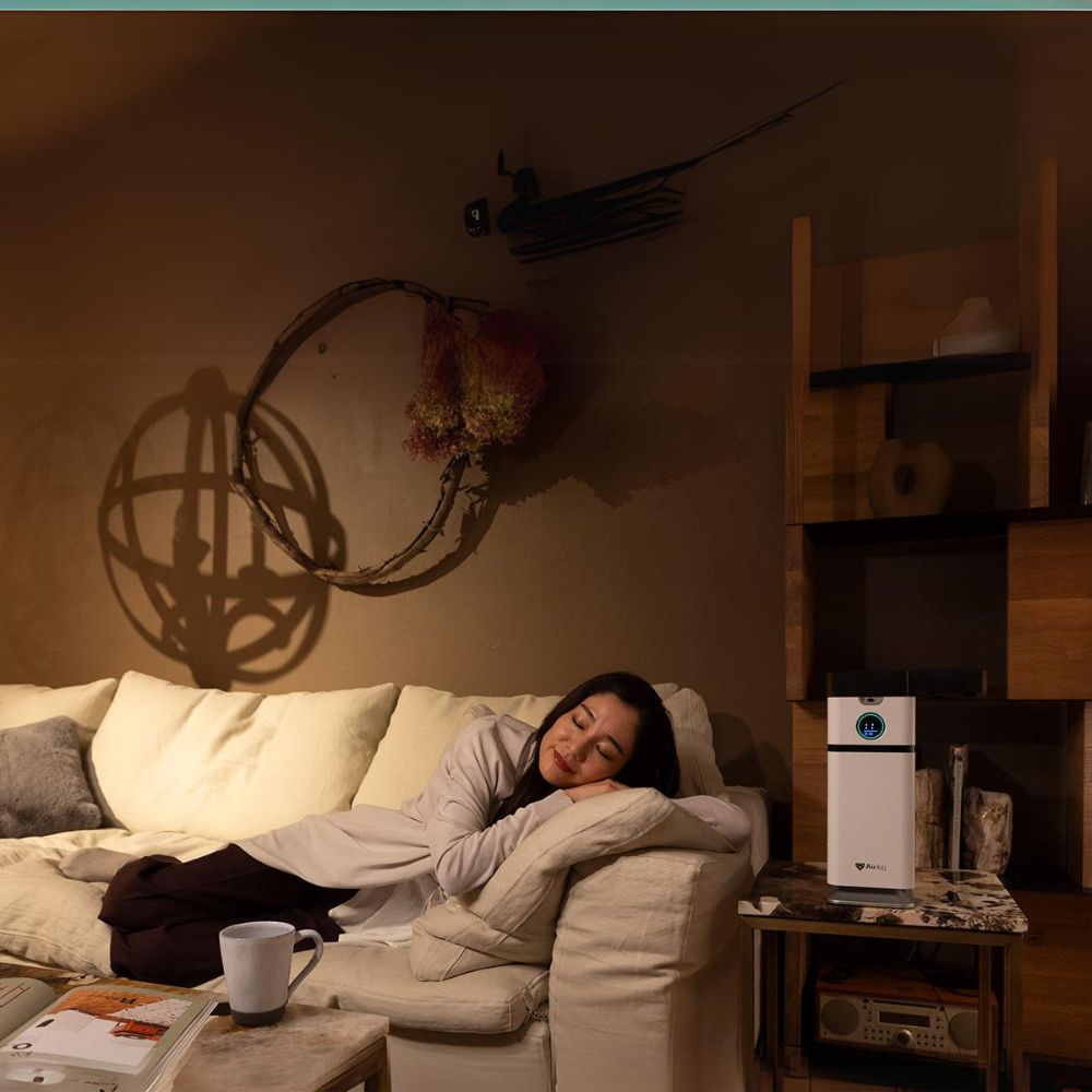 Airdog X1D - Luftfilter im schlanken Design - bis zu 20 m²